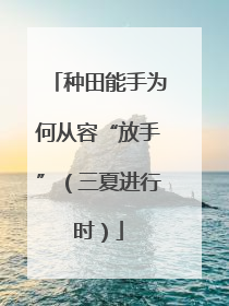 种田能手为何从容“放手”（三夏进行时）