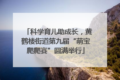 科学育儿助成长，黄鹤楼街道第九届“萌宝爬爬赛”圆满举行