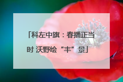 科左中旗：春播正当时 沃野绘“丰”景