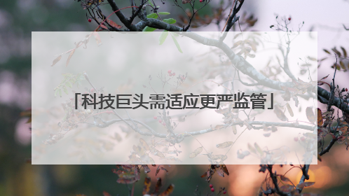 科技巨头需适应更严监管