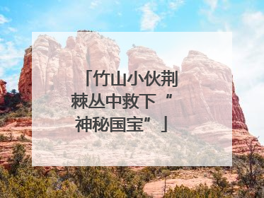 竹山小伙荆棘丛中救下“神秘国宝”