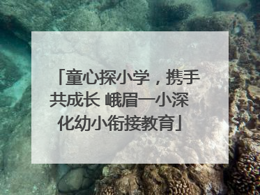童心探小学，携手共成长 峨眉一小深化幼小衔接教育