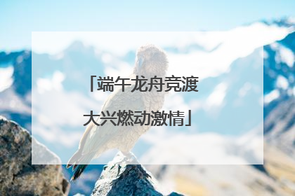 端午龙舟竞渡 大兴燃动激情