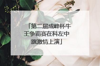 第二届成峰杯牛王争霸赛在科左中旗激情上演