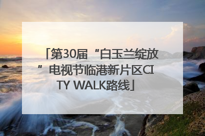 第30届“白玉兰绽放”电视节临港新片区CITY WALK路线