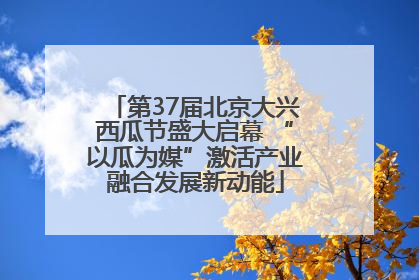 第37届北京大兴西瓜节盛大启幕 “以瓜为媒”激活产业融合发展新动能