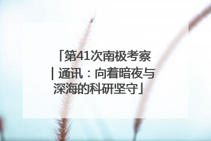 第41次南极考察｜通讯：向着暗夜与深海的科研坚守