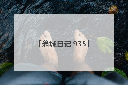 翁城日记 935