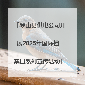 罗山县供电公司开展2025年国际档案日系列宣传活动