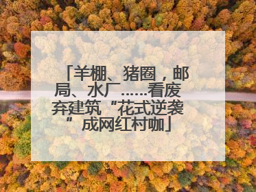羊棚、猪圈，邮局、水厂……看废弃建筑“花式逆袭”成网红村咖