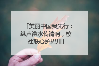 美丽中国我先行：纵声澧水传清响，校社联心护碧川