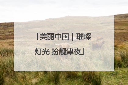 美丽中国｜璀璨灯光 扮靓津夜