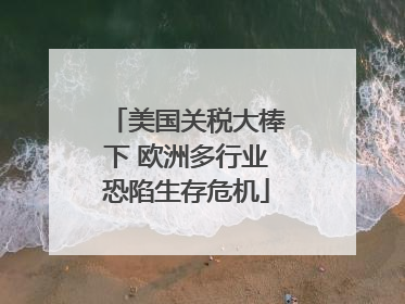 美国关税大棒下 欧洲多行业恐陷生存危机