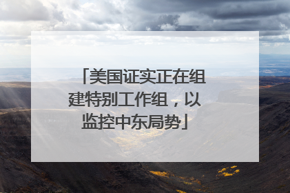 美国证实正在组建特别工作组，以监控中东局势