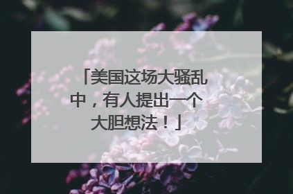 美国这场大骚乱中，有人提出一个大胆想法！