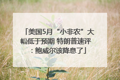 美国5月“小非农”大幅低于预期 特朗普速评：鲍威尔该降息了