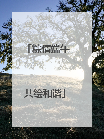 粽情端午 共绘和谐