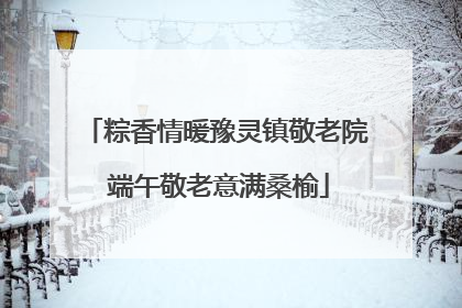 粽香情暖豫灵镇敬老院 端午敬老意满桑榆