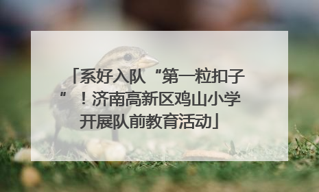 系好入队“第一粒扣子”！济南高新区鸡山小学开展队前教育活动
