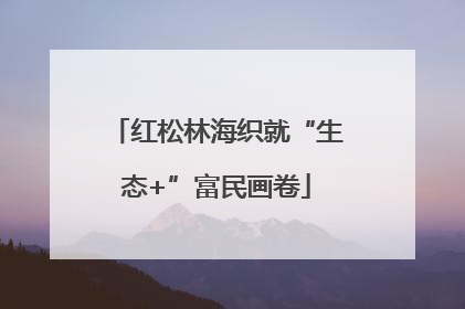 红松林海织就“生态+”富民画卷