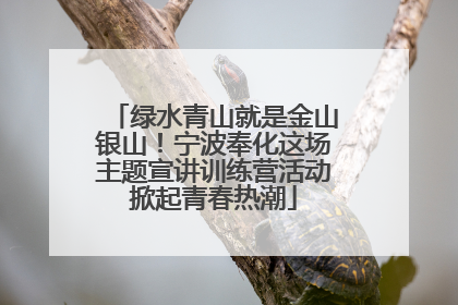 绿水青山就是金山银山！宁波奉化这场主题宣讲训练营活动掀起青春热潮