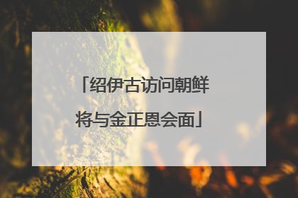 绍伊古访问朝鲜 将与金正恩会面