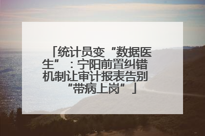统计员变“数据医生”：宁阳前置纠错机制让审计报表告别“带病上岗”