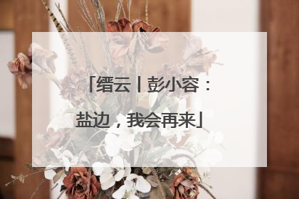缙云丨彭小容：盐边，我会再来