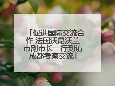 促进国际交流合作 法国沃昂沃兰市副市长一行到访成都考察交流