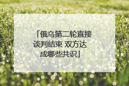 俄乌第二轮直接谈判结束 双方达成哪些共识