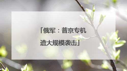 俄军：普京专机遭大规模袭击