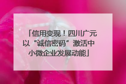 信用变现！四川广元以“诚信密码”激活中小微企业发展动能