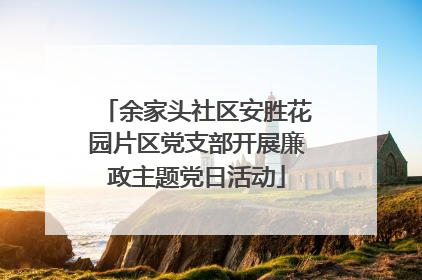 余家头社区安胜花园片区党支部开展廉政主题党日活动