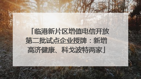 临港新片区增值电信开放第二批试点企业授牌：新增高济健康、科戈波特两家