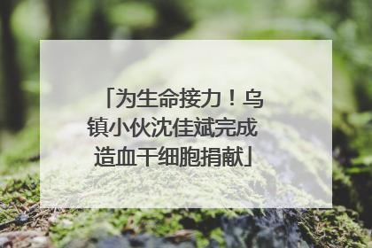 为生命接力！乌镇小伙沈佳斌完成造血干细胞捐献