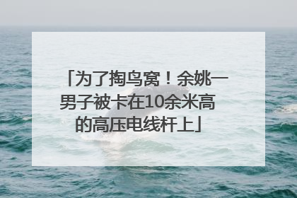 为了掏鸟窝！余姚一男子被卡在10余米高的高压电线杆上