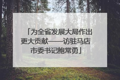 为全省发展大局作出更大贡献——访驻马店市委书记鲍常勇