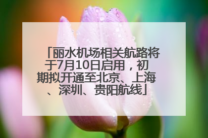 丽水机场相关航路将于7月10日启用，初期拟开通至北京、上海、深圳、贵阳航线