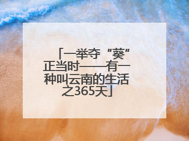 一举夺“葵”正当时——有一种叫云南的生活之365天