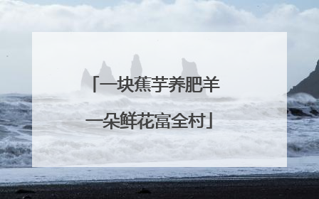 一块蕉芋养肥羊 一朵鲜花富全村