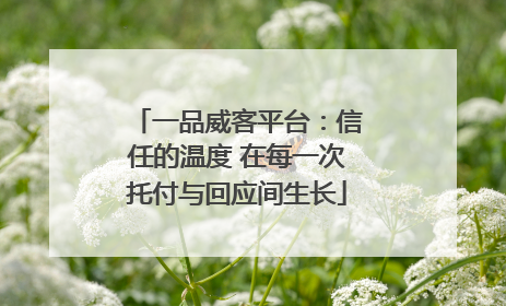 一品威客平台：信任的温度 在每一次托付与回应间生长