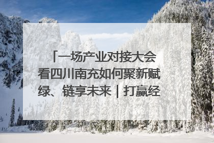 一场产业对接大会 看四川南充如何聚新赋绿、链享未来｜打赢经济发展翻身仗