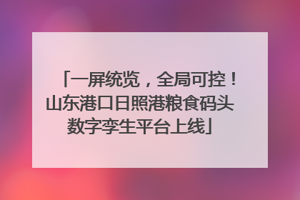 一屏统览，全局可控！山东港口日照港粮食码头数字孪生平台上线