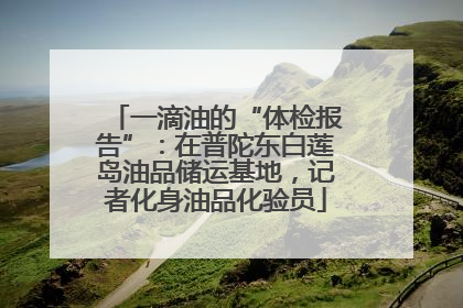 一滴油的“体检报告”：在普陀东白莲岛油品储运基地，记者化身油品化验员