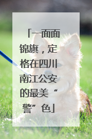 一面面锦旗，定格在四川南江公安的最美“警”色