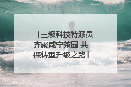 三级科技特派员齐聚咸宁茶园 共探转型升级之路