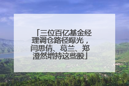 三位百亿基金经理调仓路径曝光，闫思倩、葛兰、郑澄然增持这些股