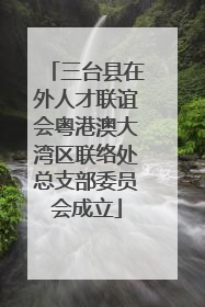 三台县在外人才联谊会粤港澳大湾区联络处总支部委员会成立