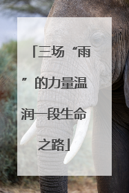 三场“雨”的力量温润一段生命之路