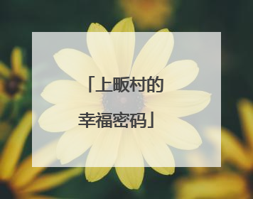 上畈村的幸福密码